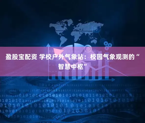 盈股宝配资 学校户外气象站：校园气象观测的“智慧中枢”