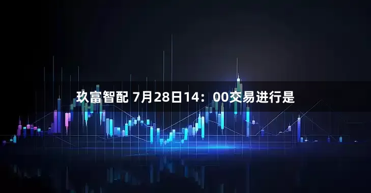 玖富智配 7月28日14：00交易进行是